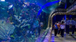 The Inbursa Aquarium (Acuario Inbursa)