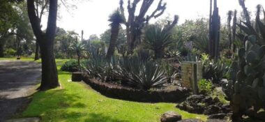 UNAM Botanical Garden