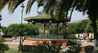 jardin Juarez