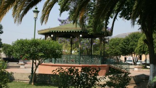 jardin Juarez