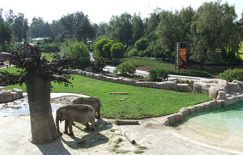 zoo san Juan de Aragon